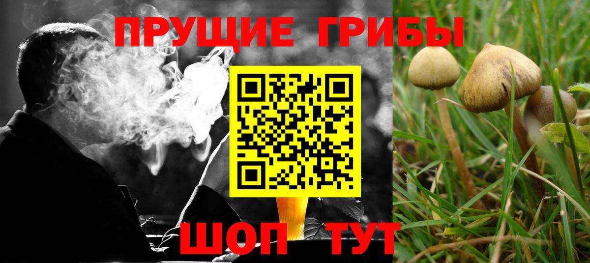 Галлюциногенные грибы мицелий  Вход с VPN  Светлоград 